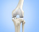 Partial Knee Replacement - Services