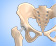 Total Hip Replacement - Services